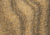 African Gold III