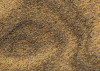 African Gold III