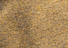 African Gold III