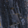 Colors of Earth VII