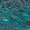 Colors of Sardegna