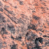 Colors of Sardegna