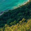 Monkey Island
