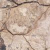 African Wall VII
