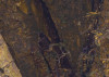 African Wall XII