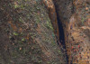 African Wall XIII