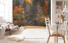 Autumn Cabin
