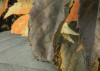 Autumn Foliage II