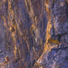 Colors of Earth II
