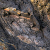Colors of Earth IV