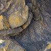 Colors of Earth V