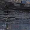Colors of Earth VIII