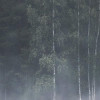 Scandi Wall