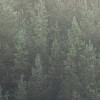 Scandi Wall