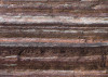 Secrets of the Desert V