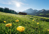 Alpenglück