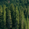 Dolomitenjuwel