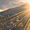 Norwegische Herbstwelten