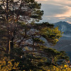 Norwegische Herbstwelten