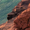 Paradiso II