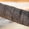 Strandgeheimnis