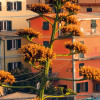 The Picturesque Village