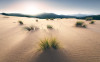 Vivid Dunes