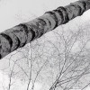 Weiss-Blau