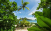 Cast Away Jungle 