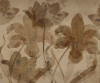 Petal Whispers