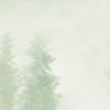 Blurry Woods