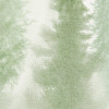 Blurry Woods