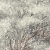Grove