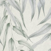 Branches