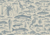 Sea Study
