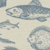 Sea Study