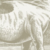 Jurassic Kingdom