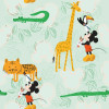 Mickey Doodle Zoo