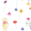 Winnie the Pooh Summer