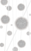 Allium