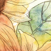 Girasol
