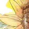 Girasol