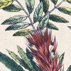 Flowering Herbs