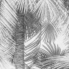 Cocco