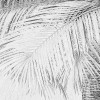 Cocco