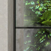 Rainforest