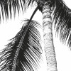 Retro Palm