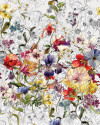 Flora