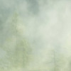 Misty Crowns