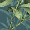 Jacinta